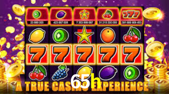 Premium Interface 65h